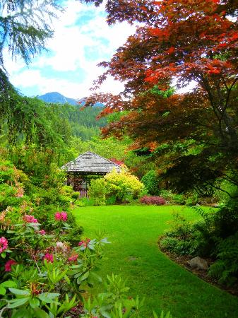 kohan-reflection-garden